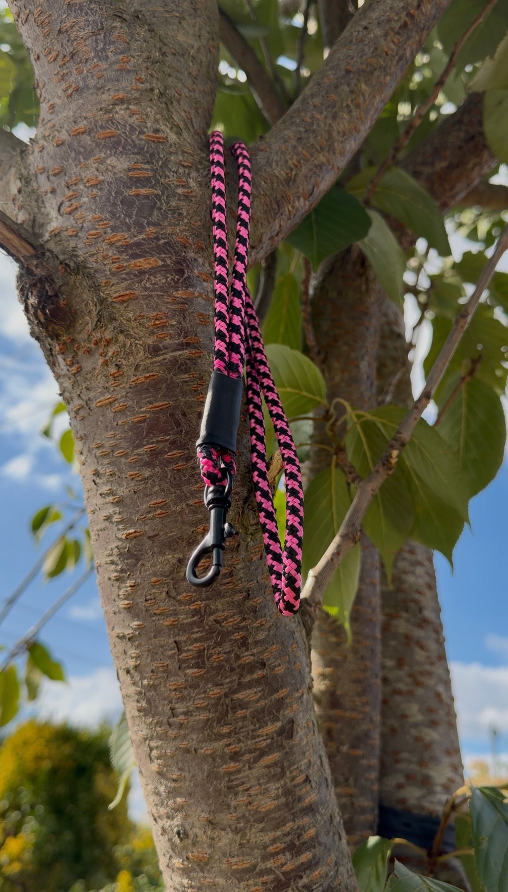 Lanyards