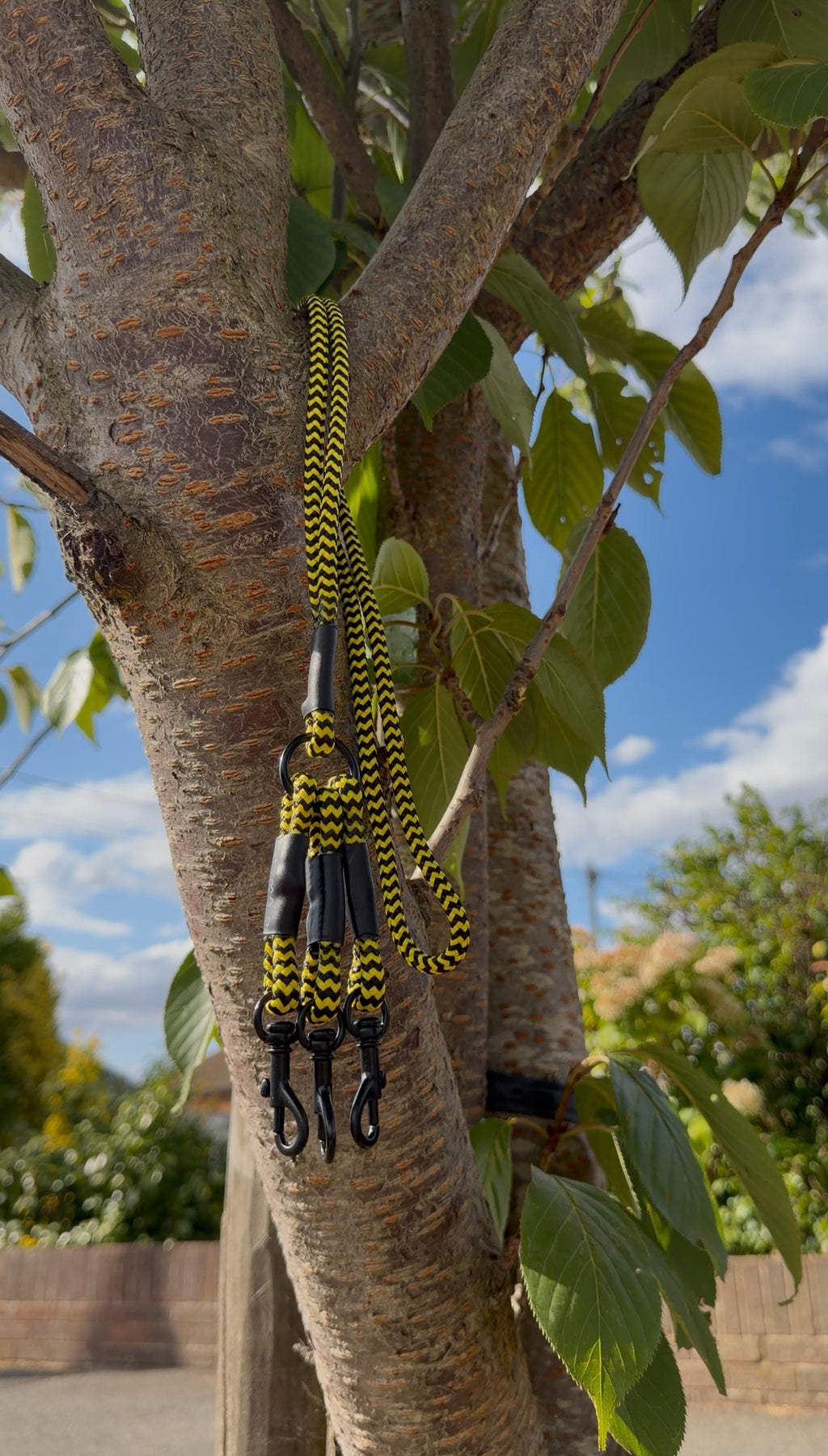 Lanyards