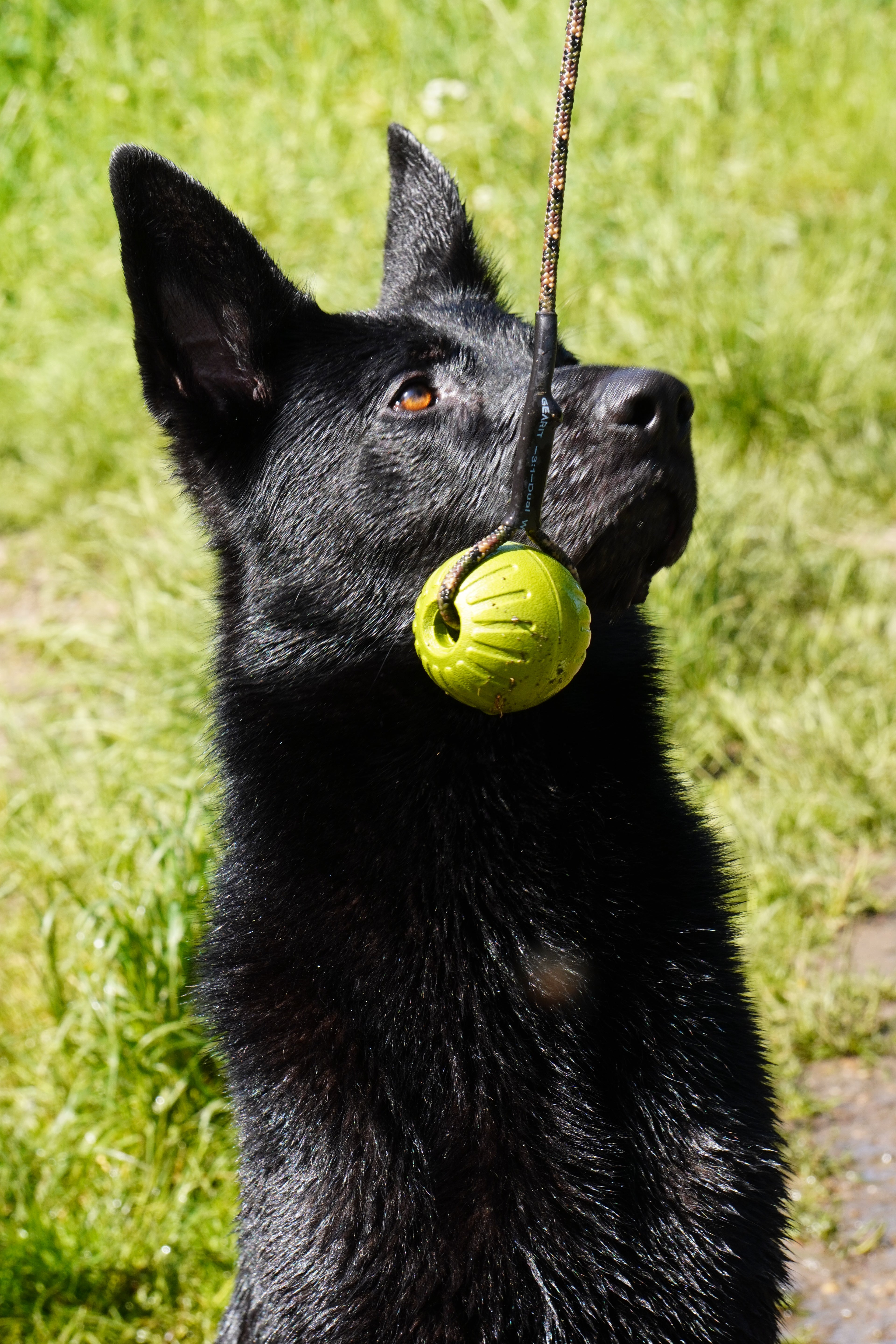 Durafoam Balls
