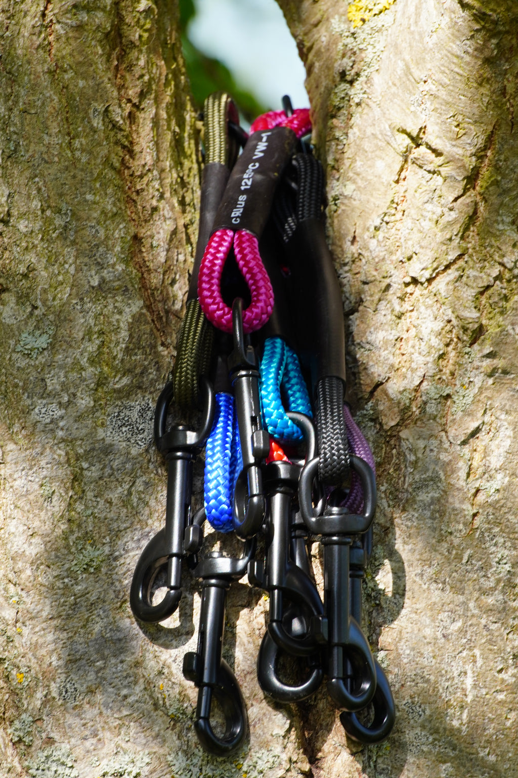 Safety Clips