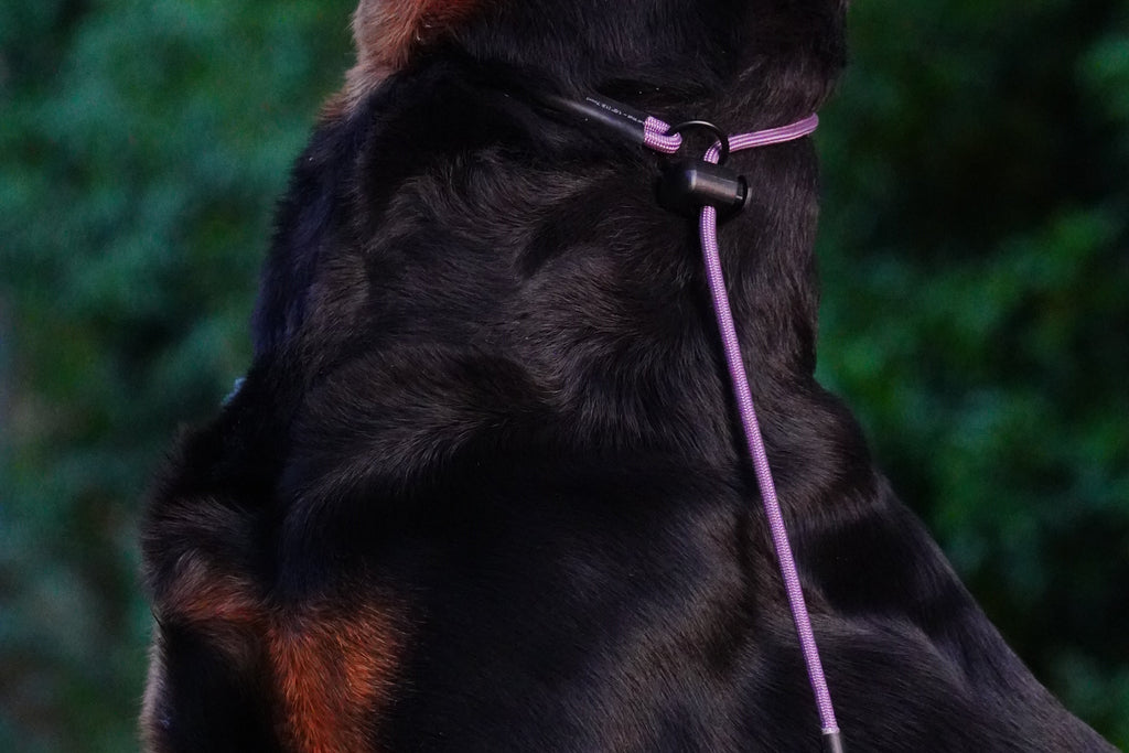 Grot Collar