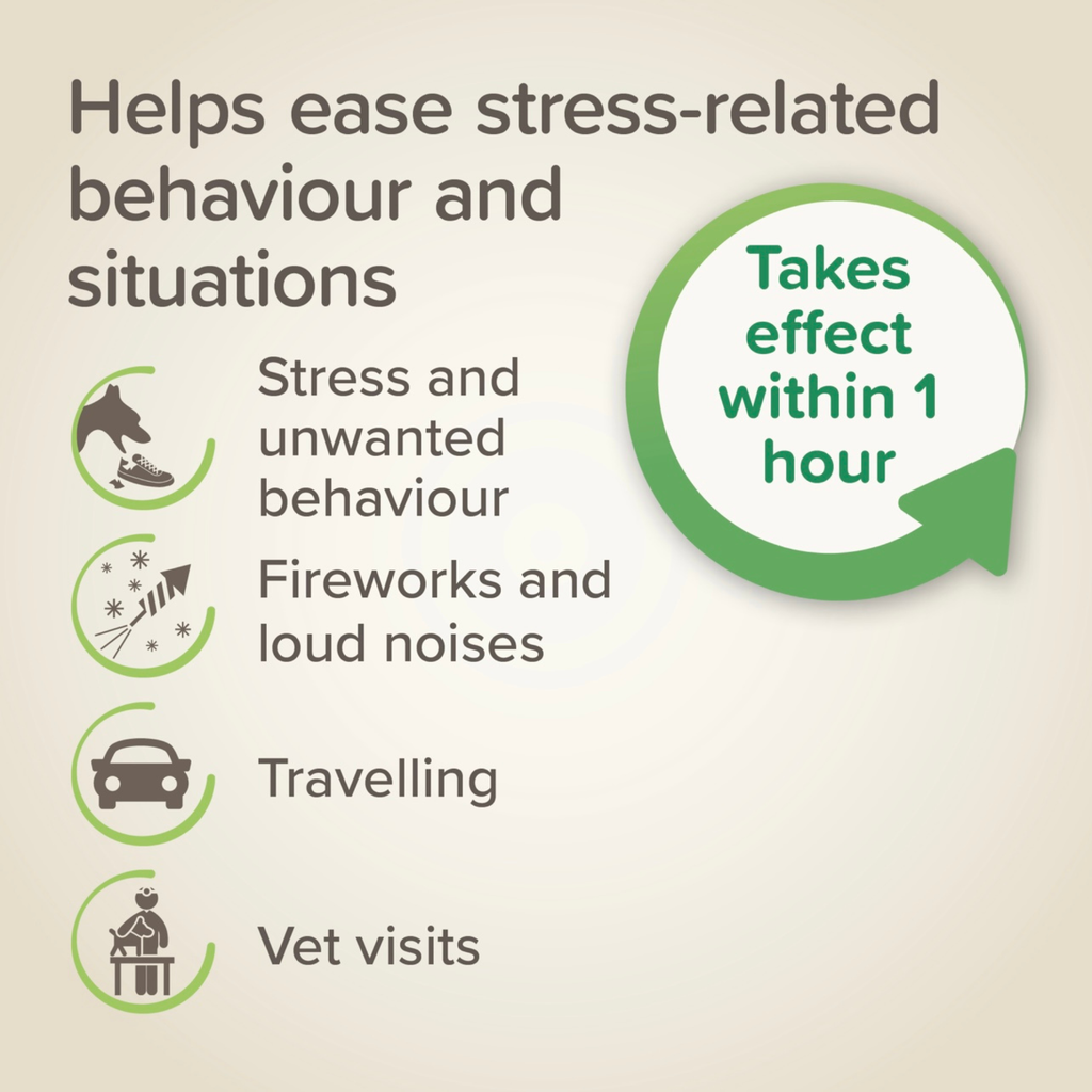 Beaphar StressLess Herbal Calming Spot-On for Dogs, 3 pipettes