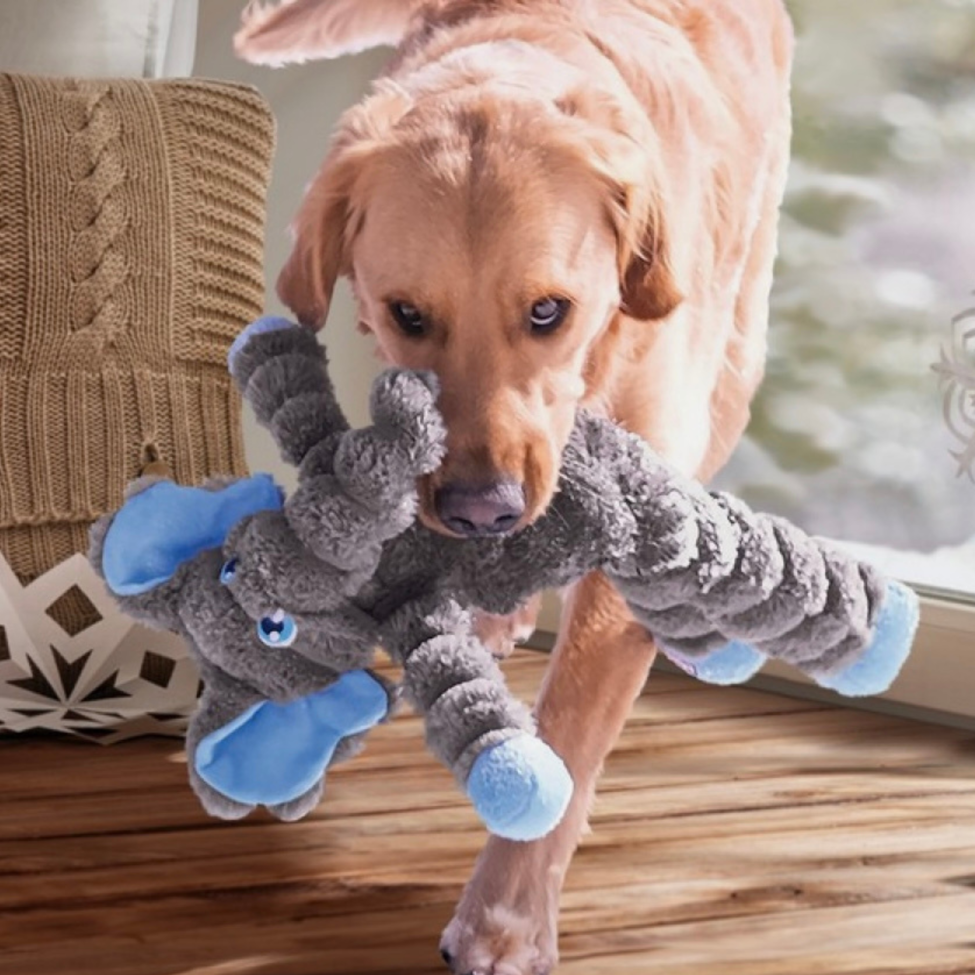 KONG Shakers Crumples Elephant XL