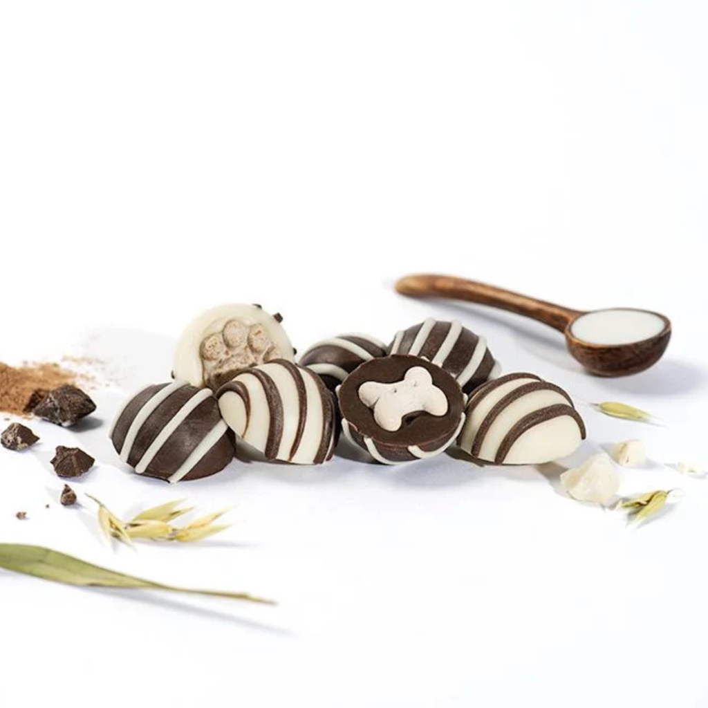 Ruffingtons Terrier Truffles