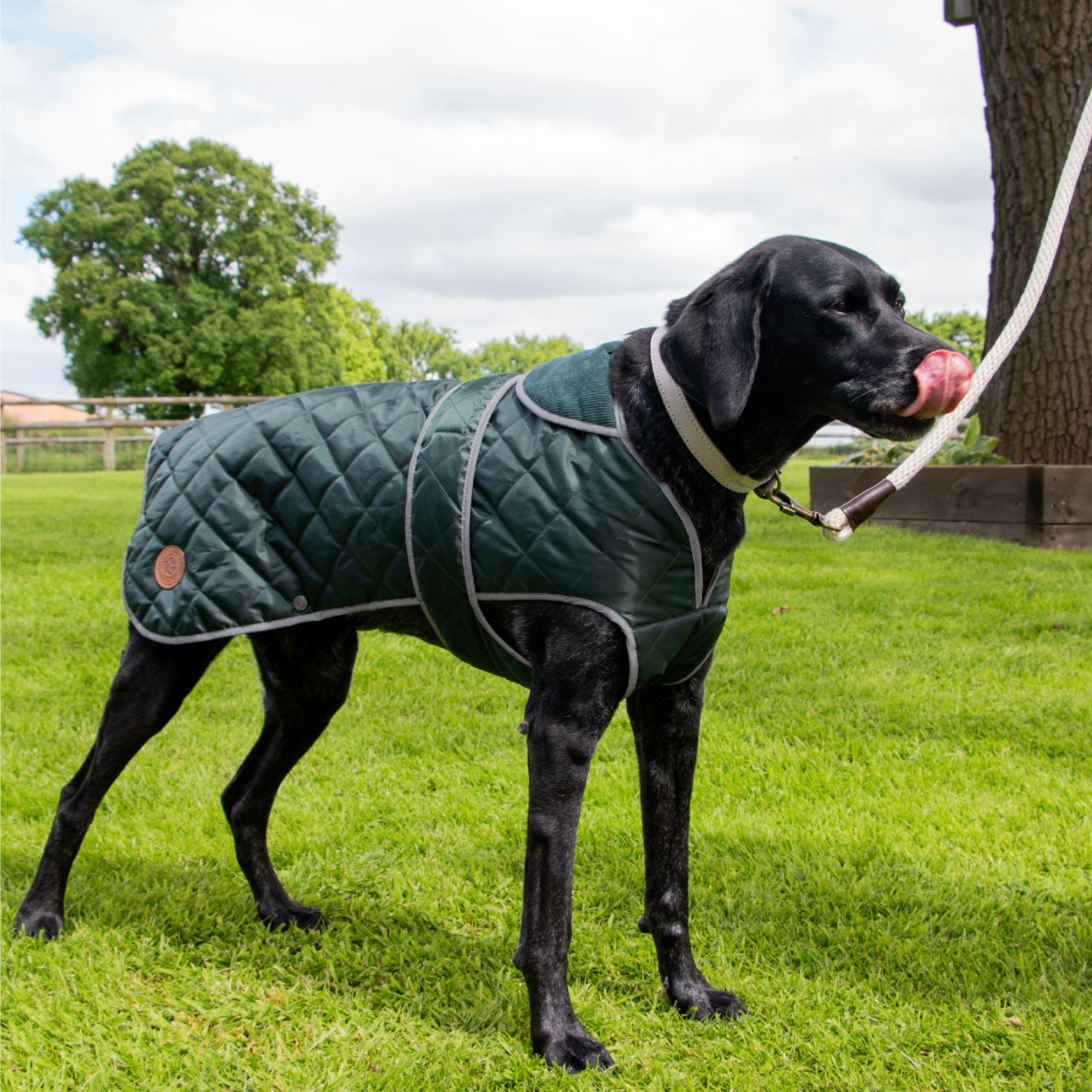 Ancol Heritage Green Quilt Coat