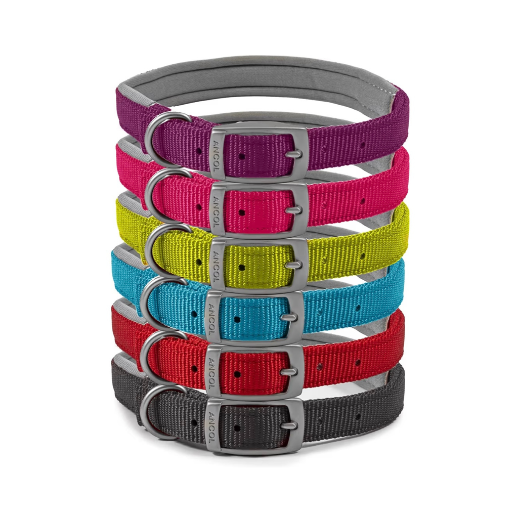 Ancol Viva Padded Collar