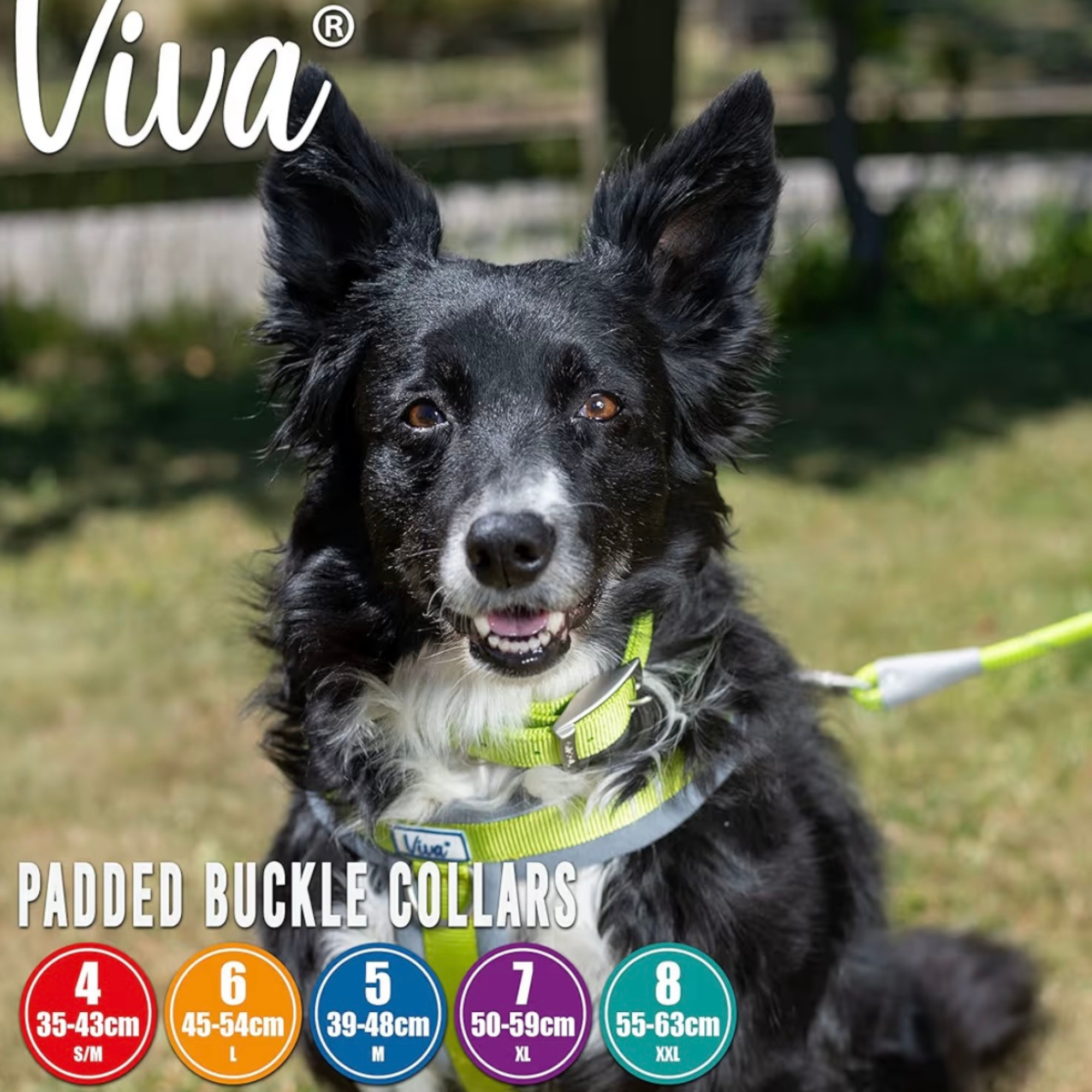 Ancol Viva Padded Collar