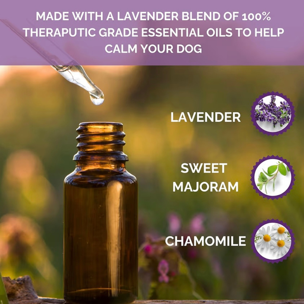 Aroma Dog Calming Range Plush Toys