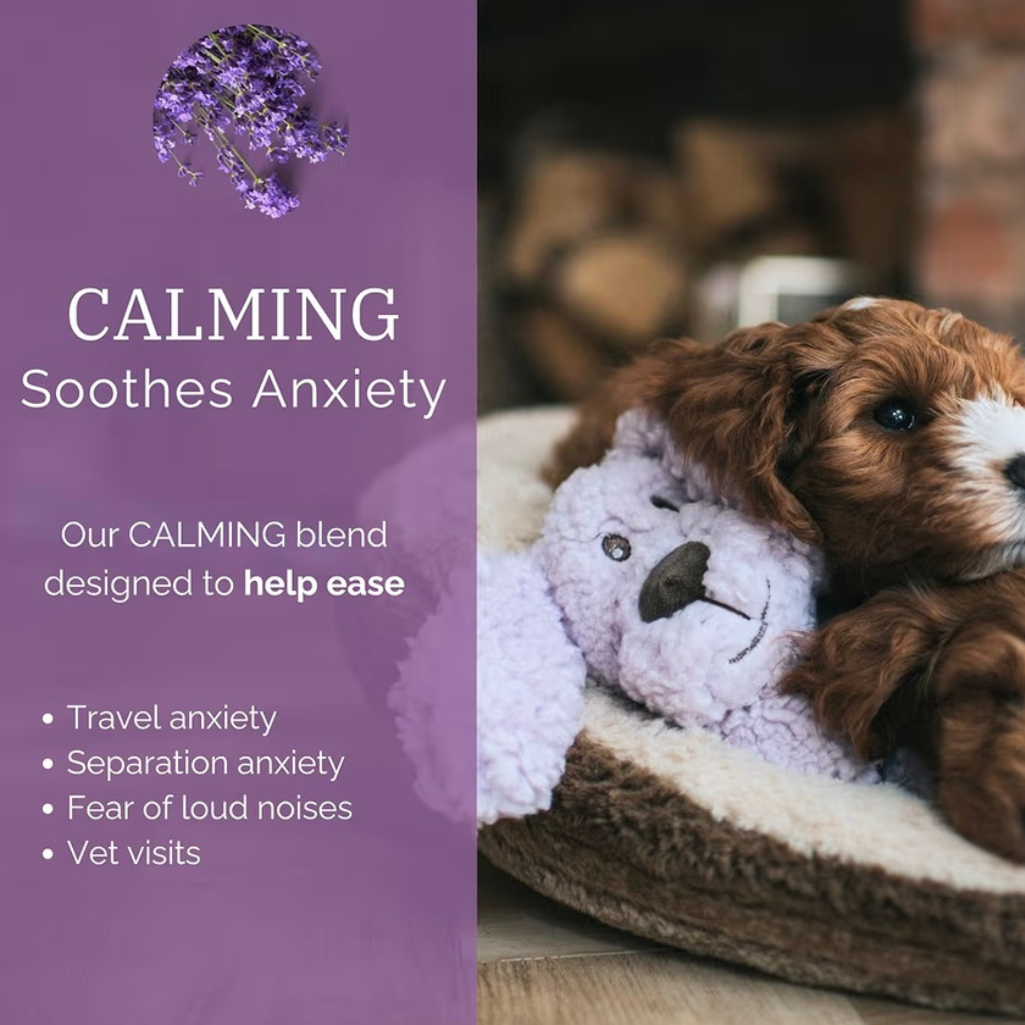 Aroma Dog Calming Range Plush Toys