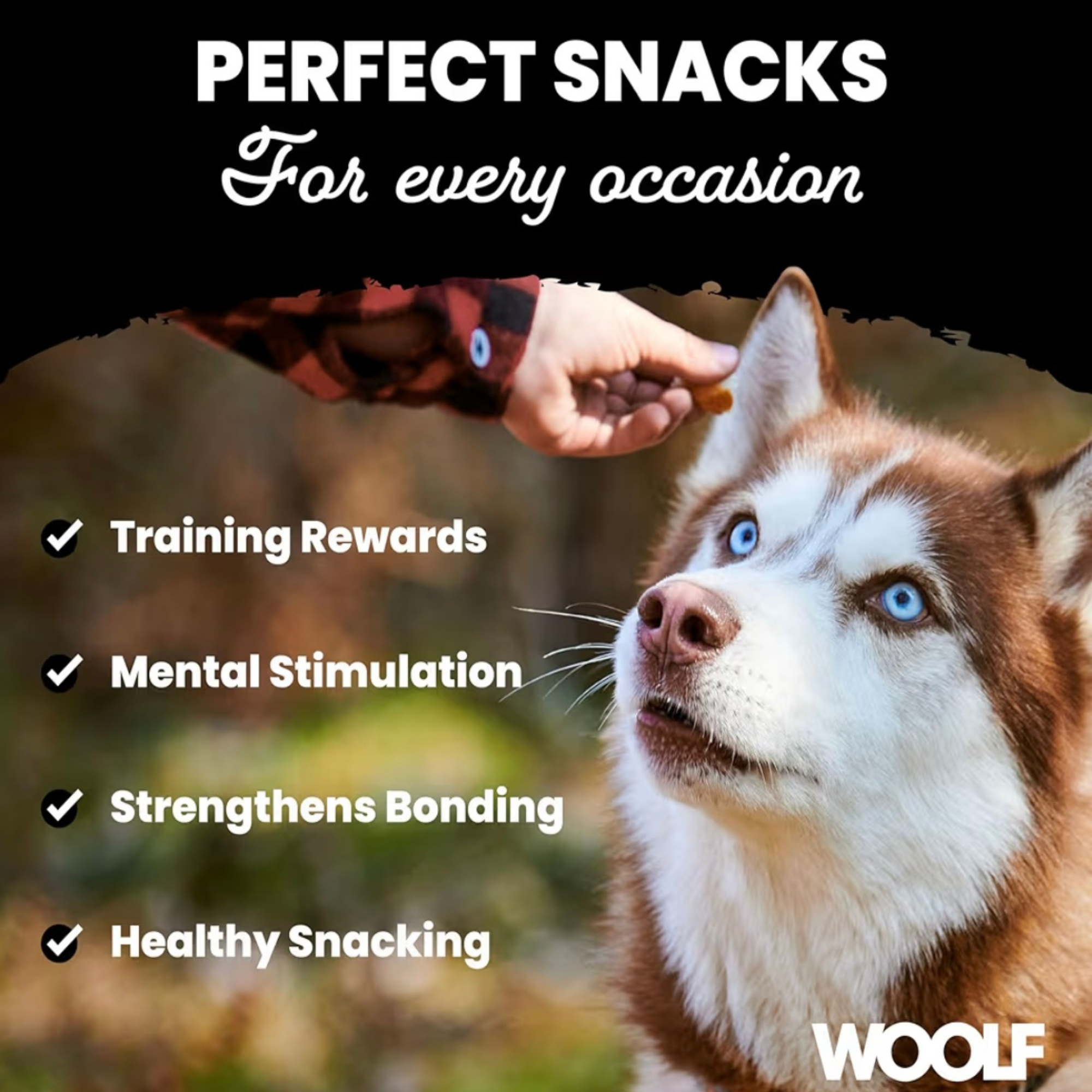Woolf Soft Cubes Treats Variations