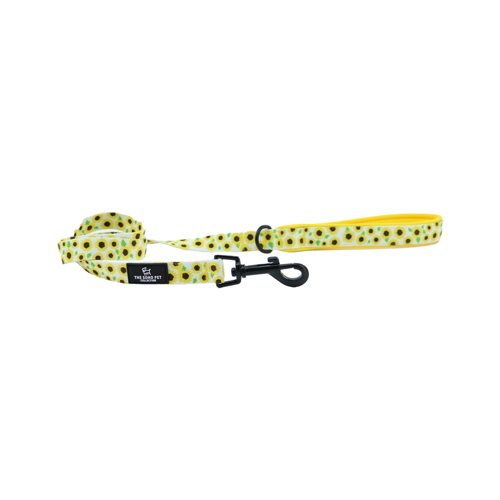 Ancol Soho Sunflower Lead 100cm / 50kg