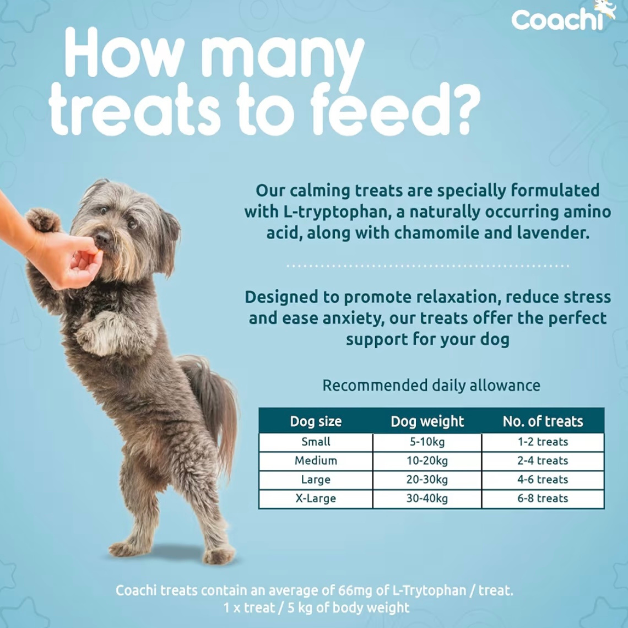 Coachi Natural Calming Treats Turkey 100g