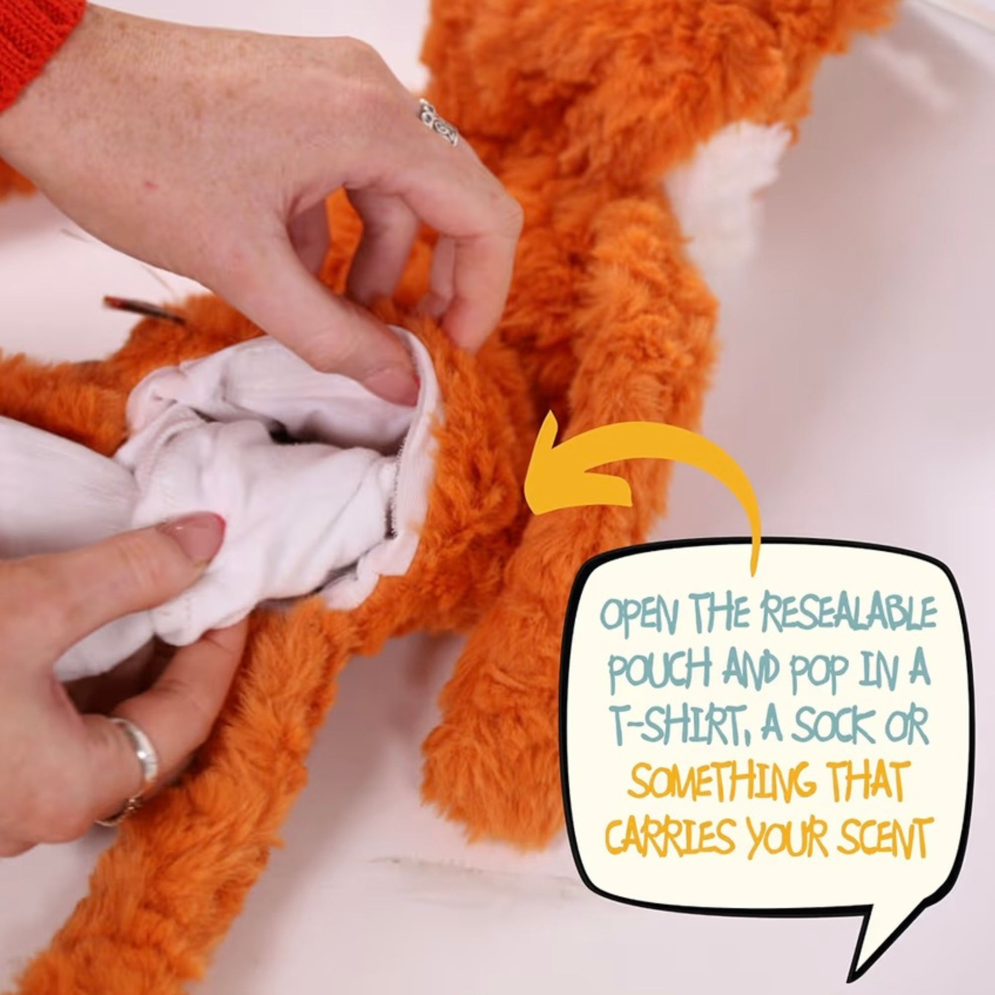 Rosewood 'My Dog' Plush Toy Variations