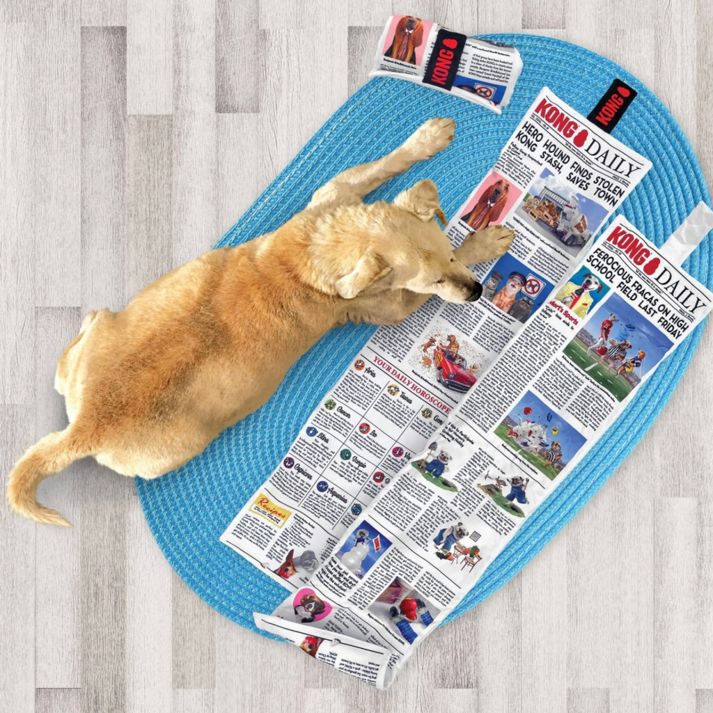 KONG Daily Newspaper XL