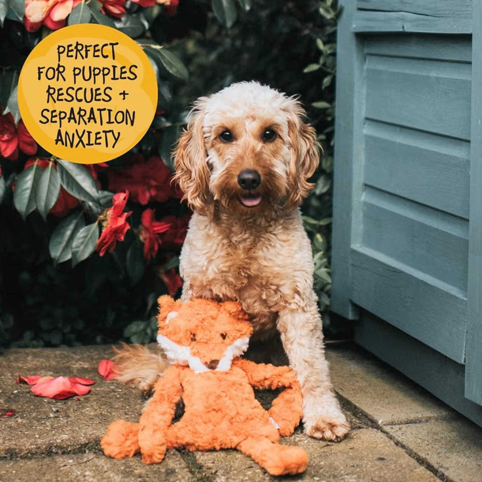 Rosewood 'My Dog' Plush Toy Variations