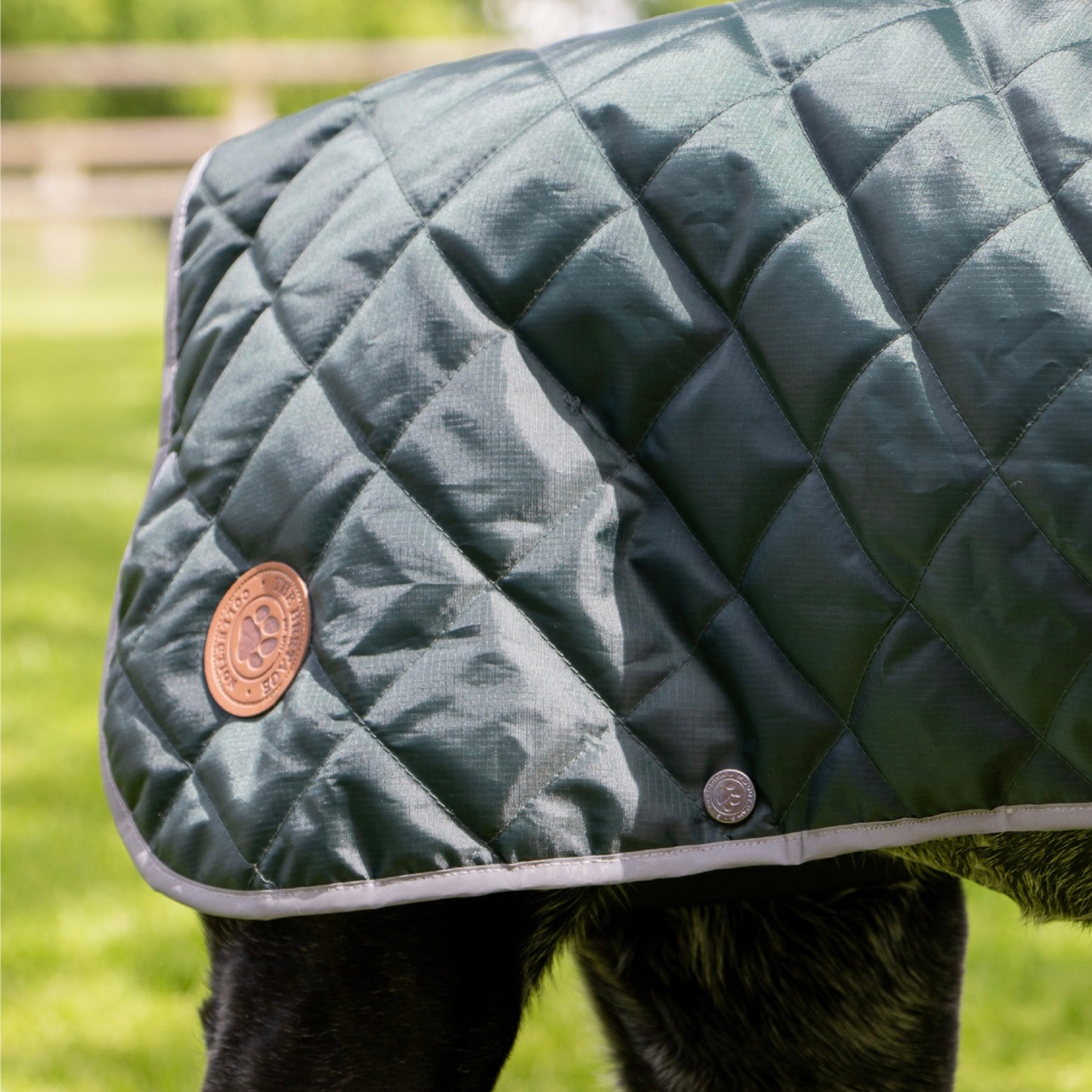 Ancol Heritage Green Quilt Coat