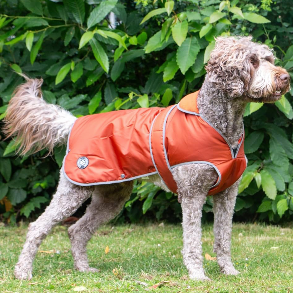 Ancol Stormguard Coat Terracotta