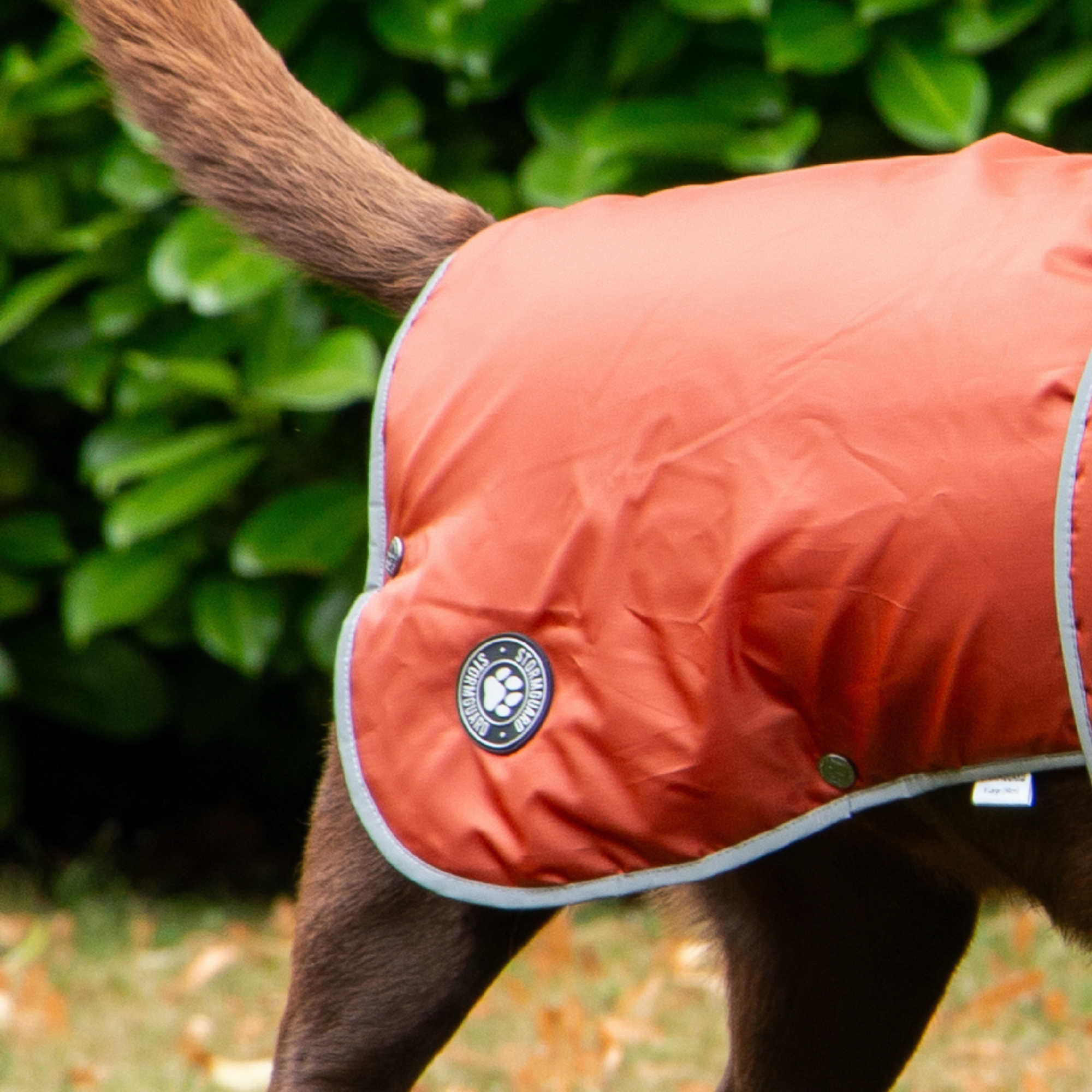 Ancol Stormguard Coat Terracotta