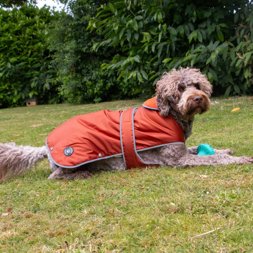 Ancol Stormguard Coat Terracotta