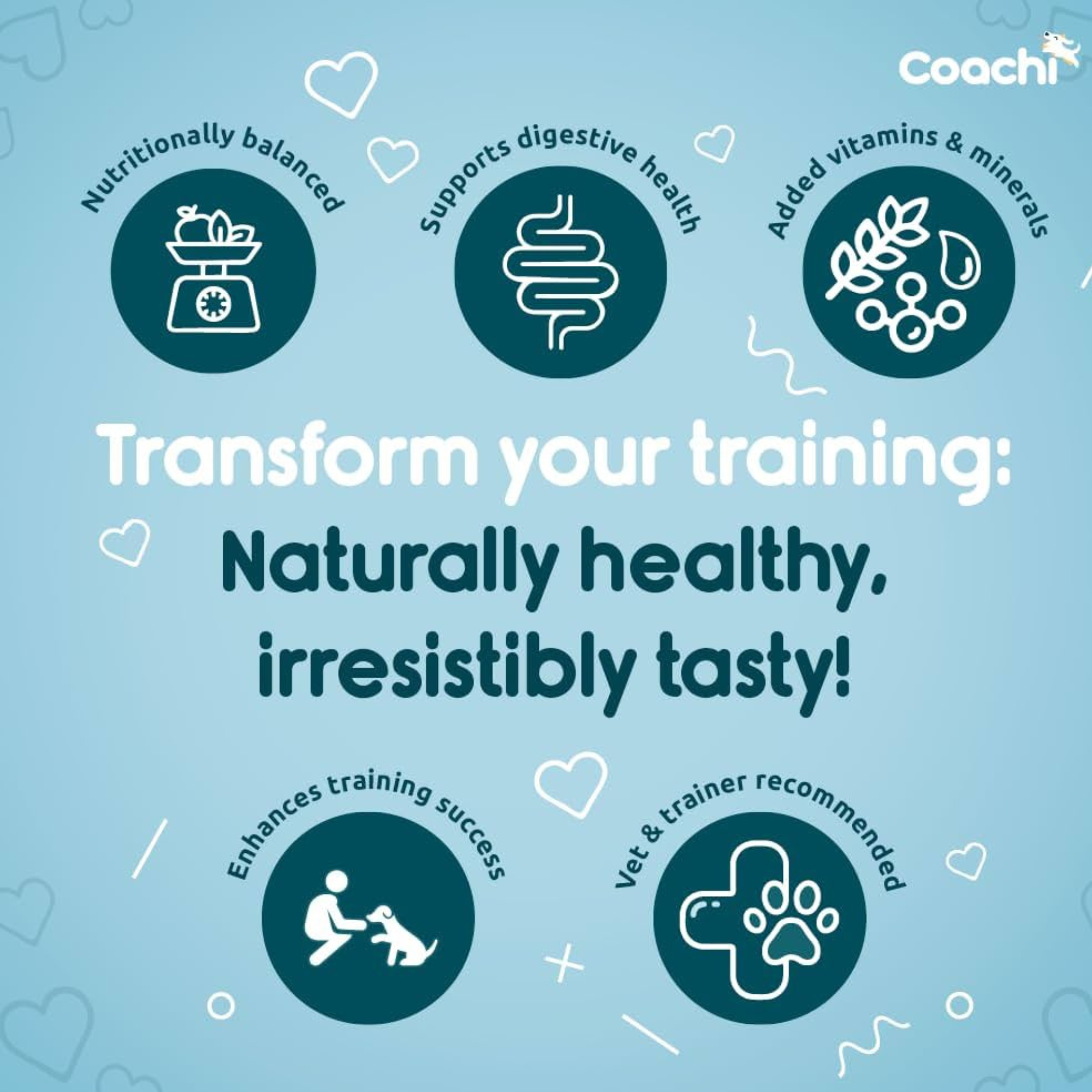 Coachi Puppy Natural Training Dog Treats Chicken and Sweet Potato 100g