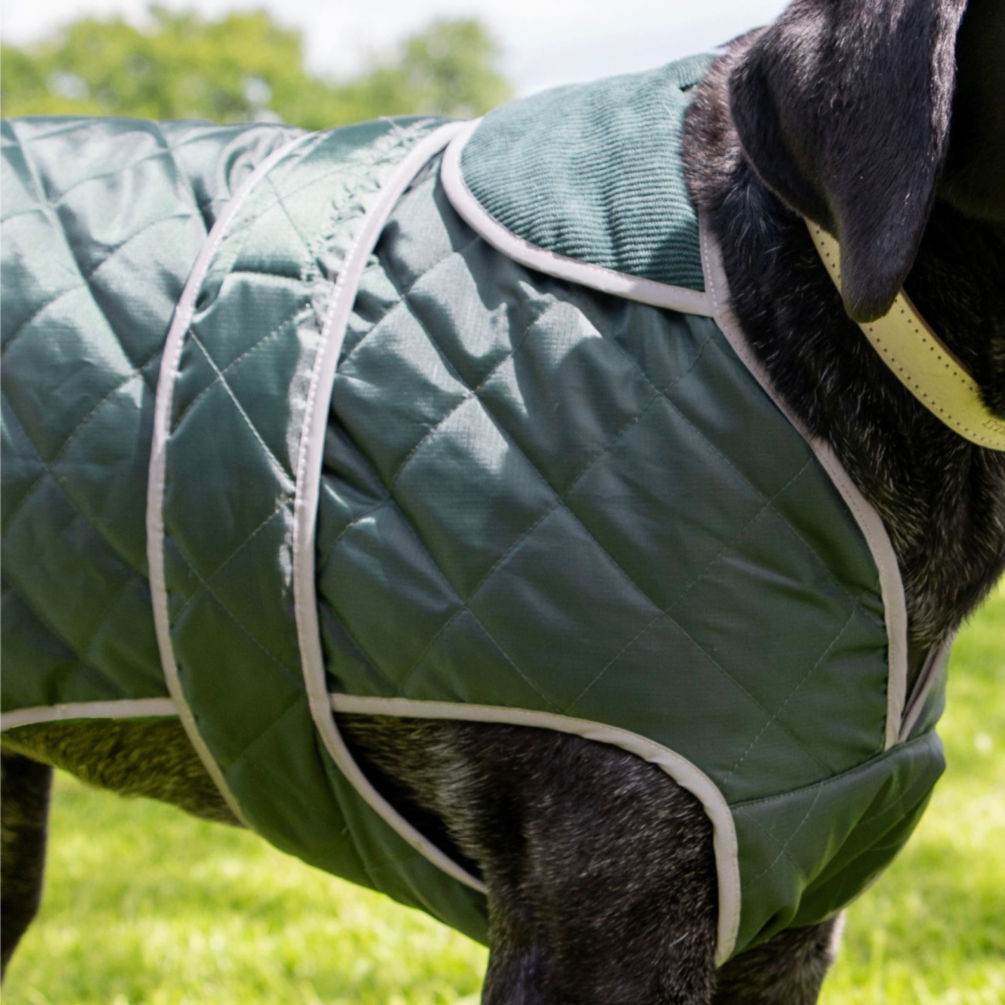 Ancol Heritage Green Quilt Coat