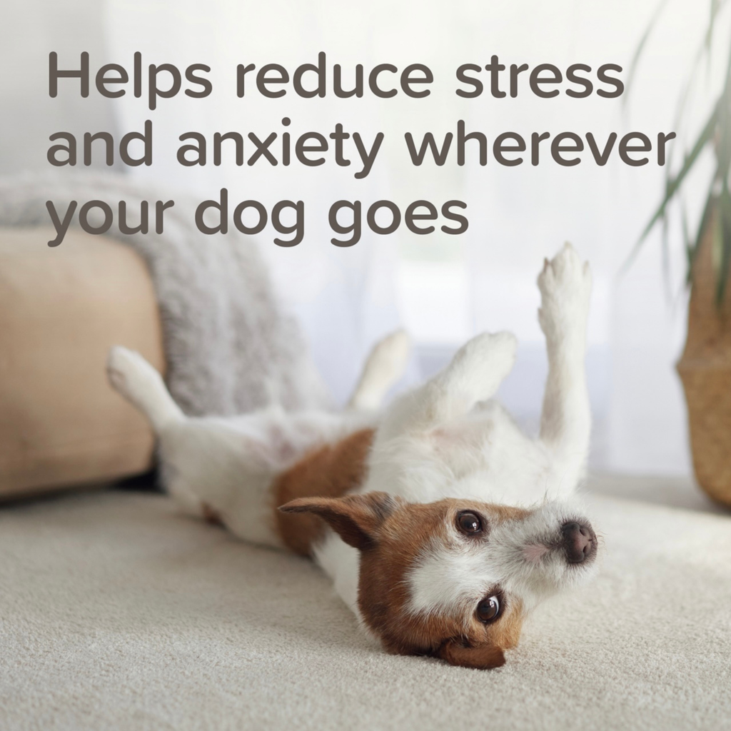 Beaphar StressLess Herbal Calming Spot-On for Dogs, 3 pipettes