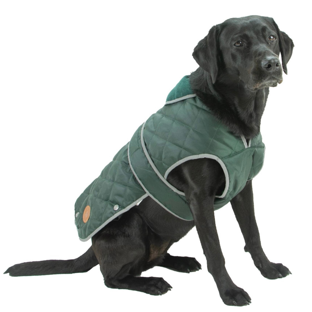 Ancol Heritage Green Quilt Coat
