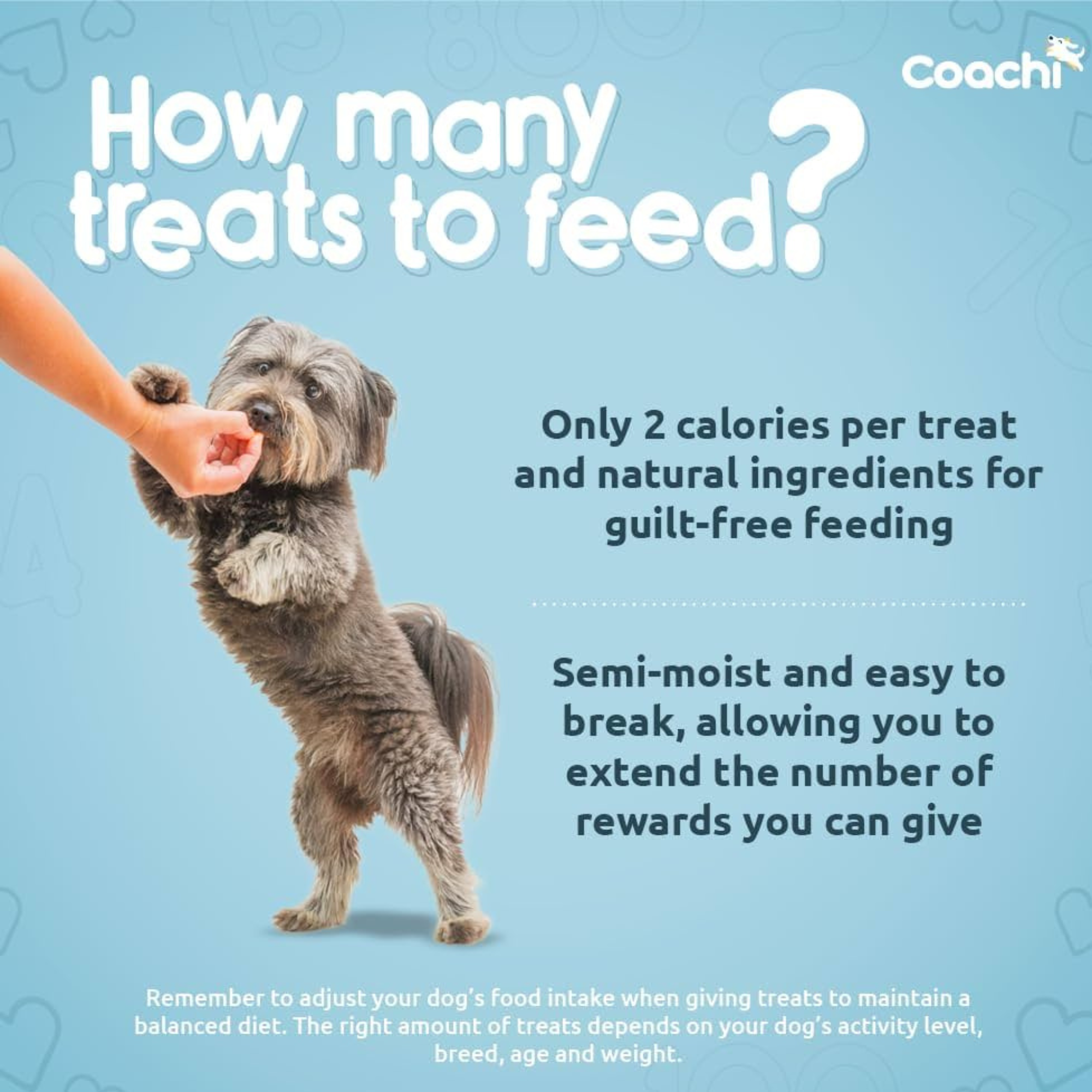 Coachi Puppy Natural Training Dog Treats Chicken and Sweet Potato 100g