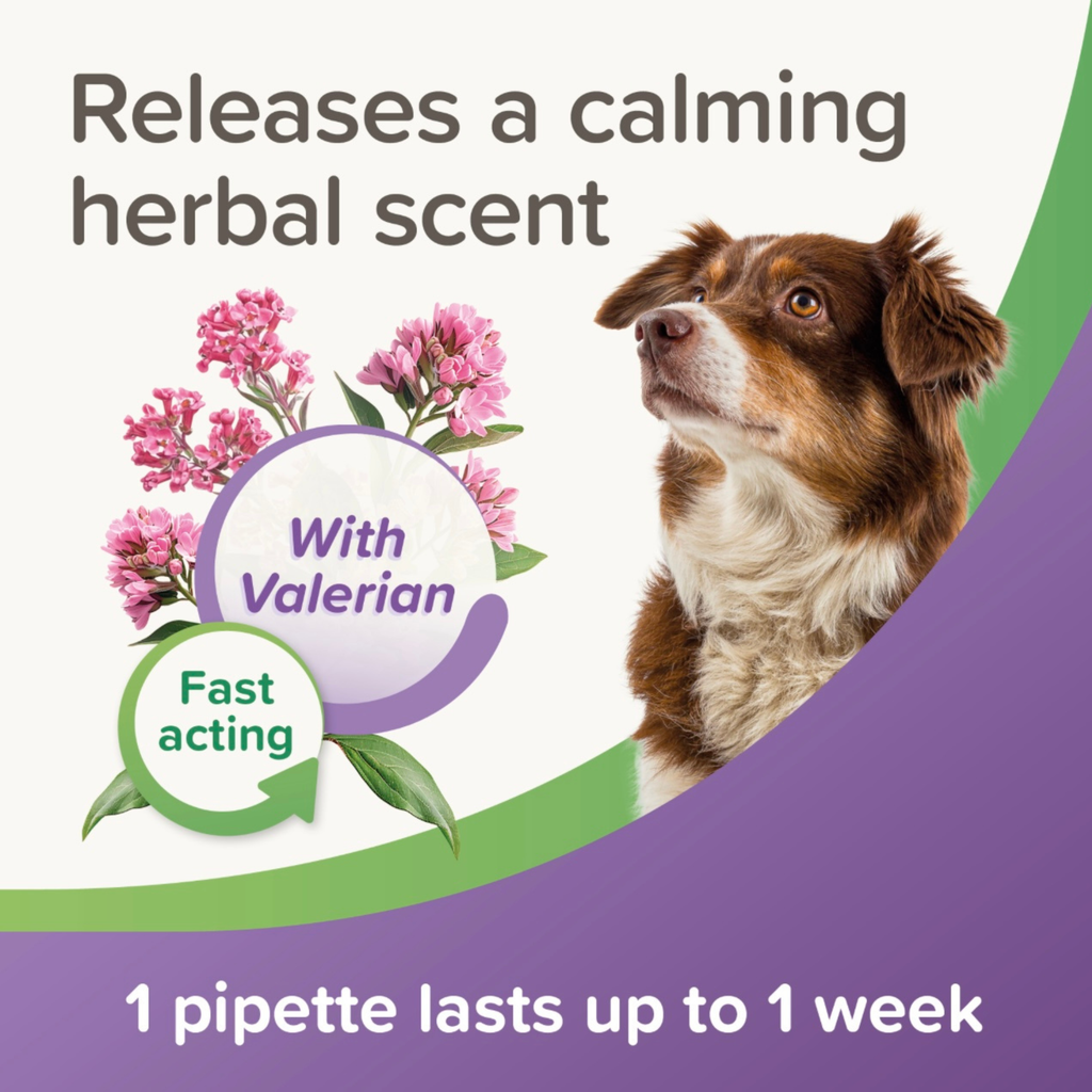 Beaphar StressLess Herbal Calming Spot-On for Dogs, 3 pipettes