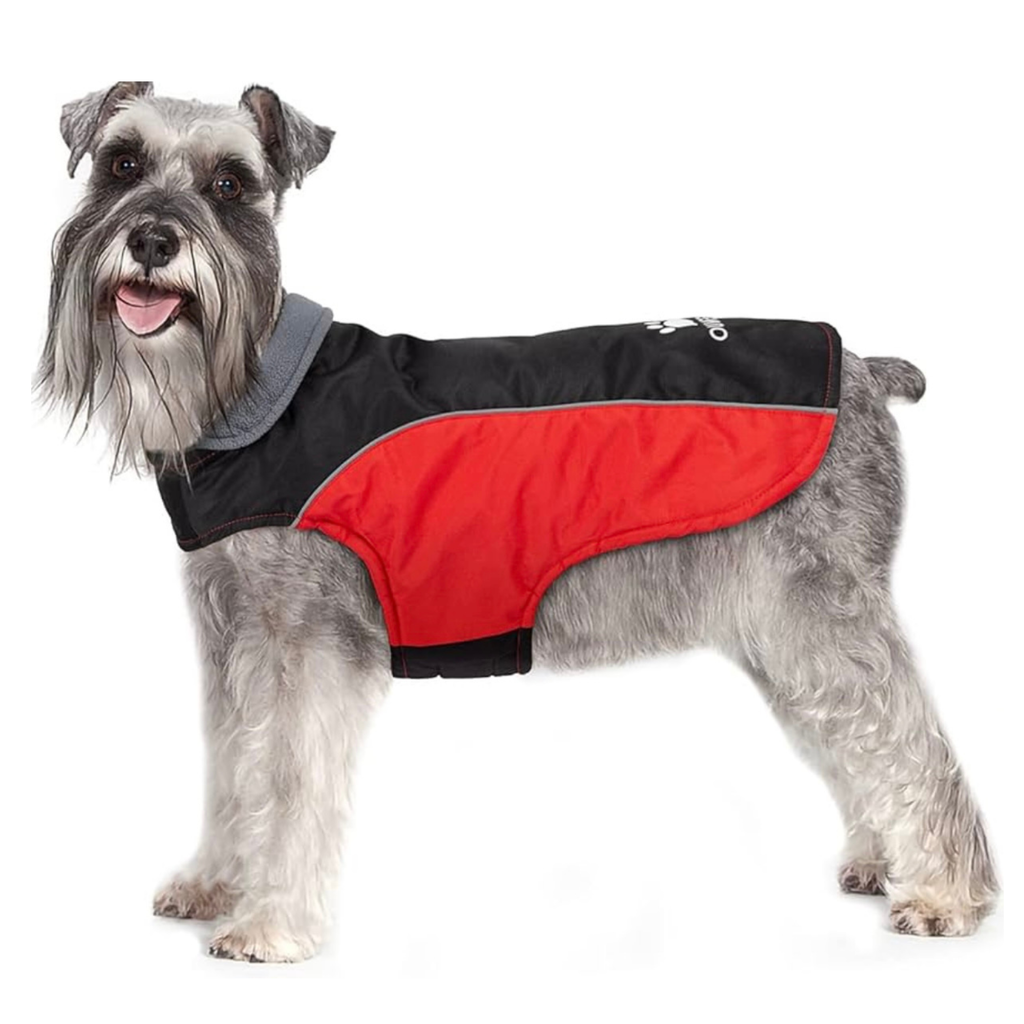 Ireenuo Coat