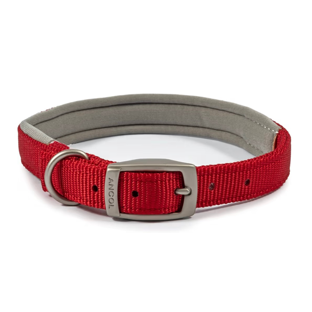 Ancol Viva Padded Collar